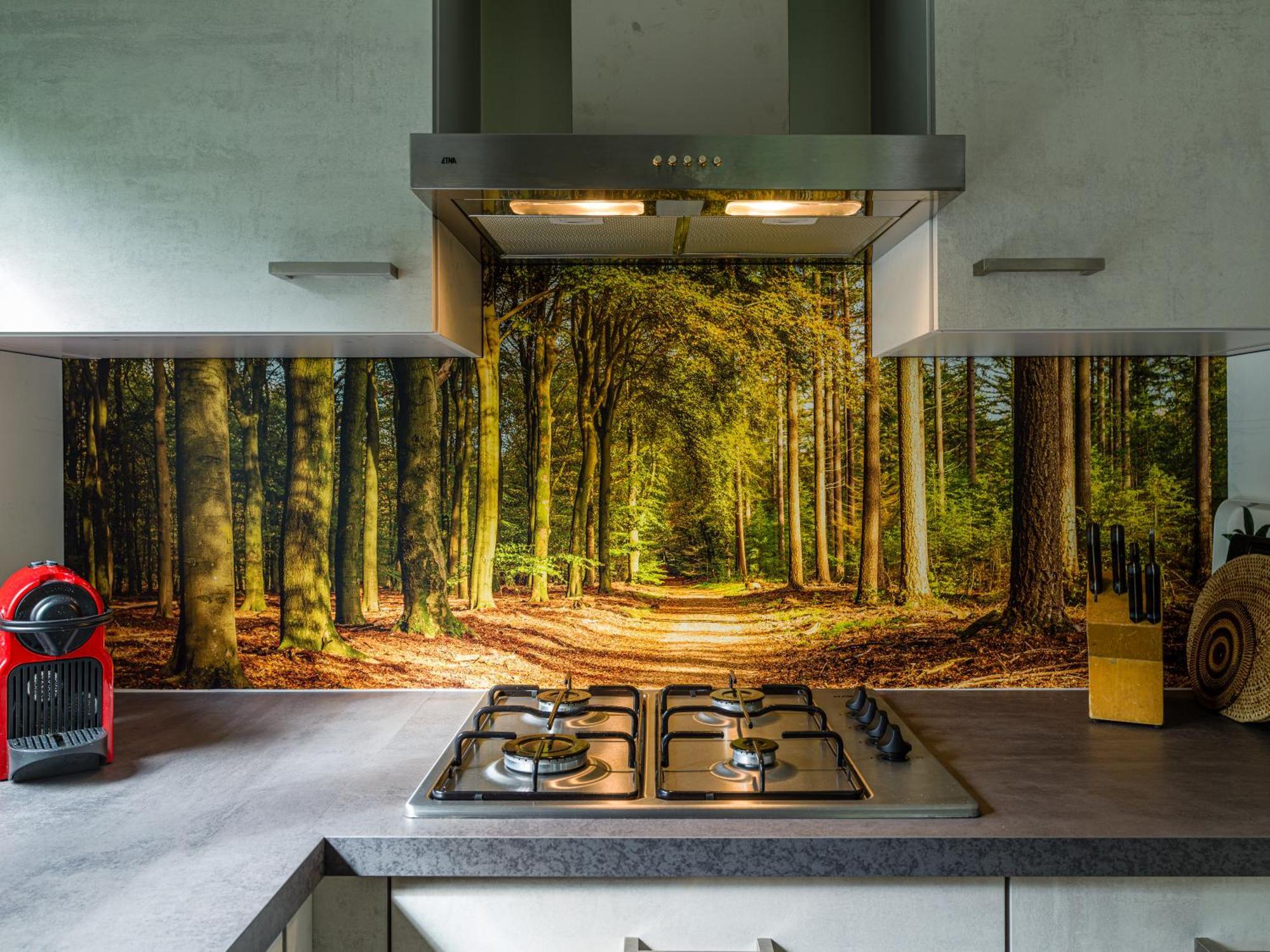 Tranquil Oasis: Dutch Countryside Retreat With Bike Putten