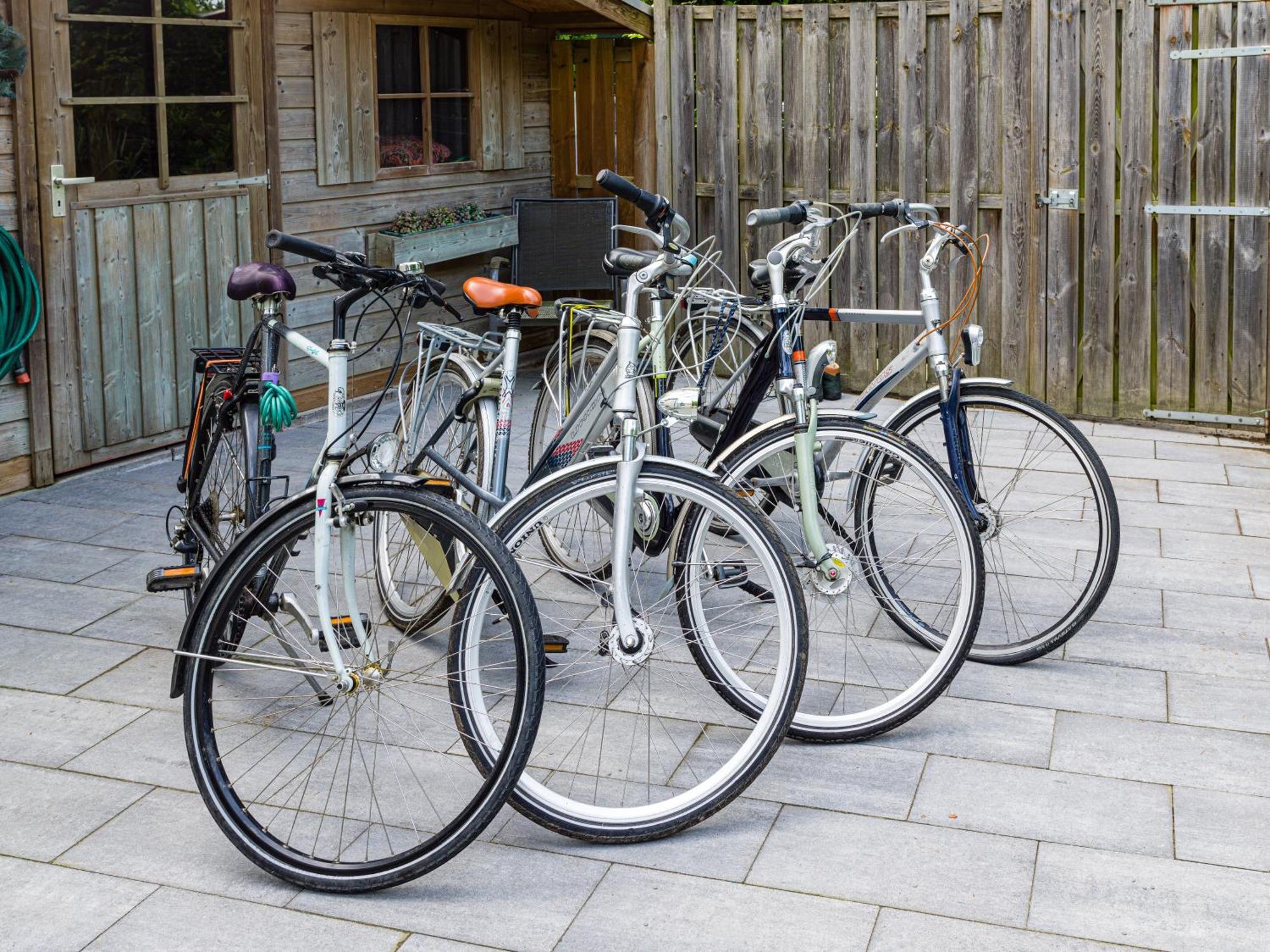 Tranquil Oasis: Dutch Countryside Retreat With Bike * Putten