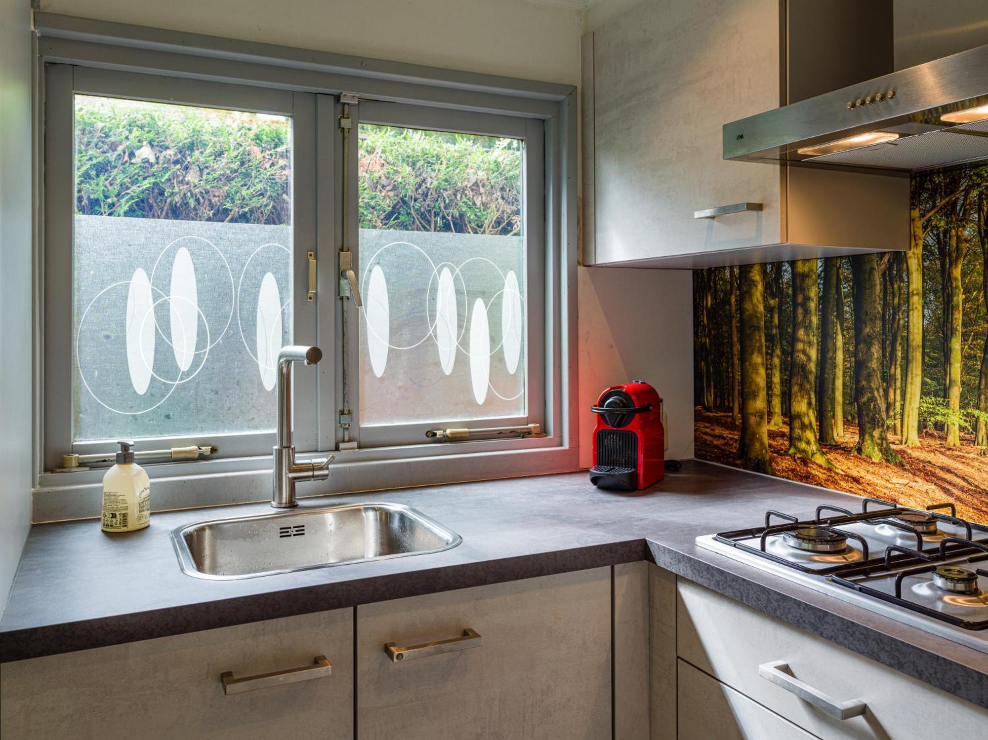 Tranquil Oasis: Dutch Countryside Retreat With Bike