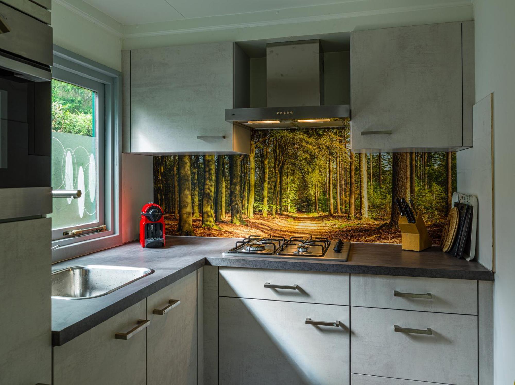 Tranquil Oasis: Dutch Countryside Retreat With Bike *