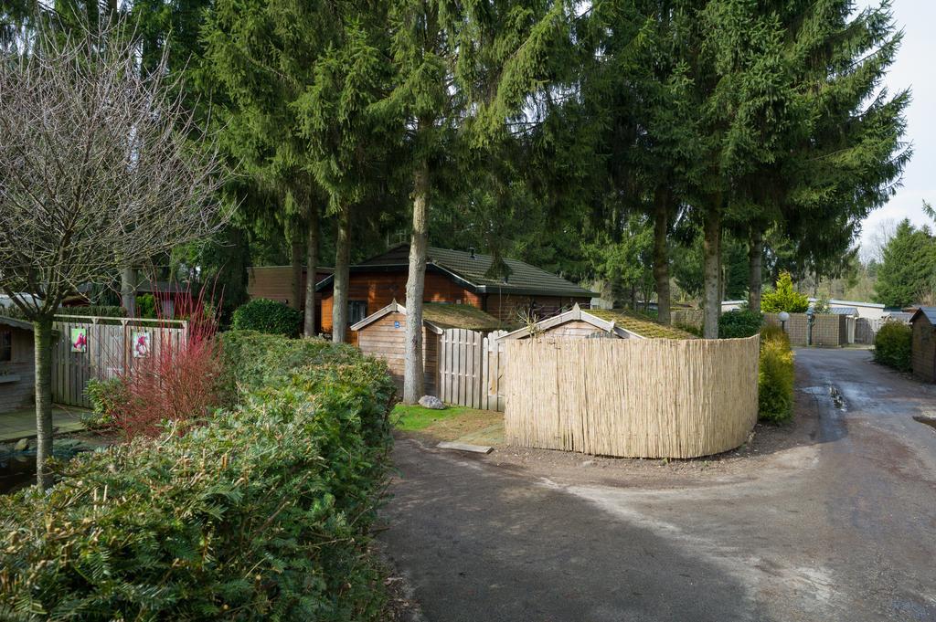 Tranquil Oasis: Dutch Countryside Retreat With Bike Putten